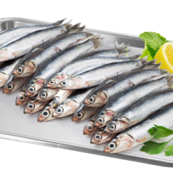 ANCHOVIES 40/70, WHOLE, FROZEN