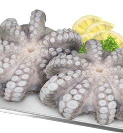 OCTOPUS FLOWER T4, FROZEN